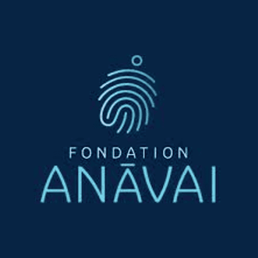 Anavai logo