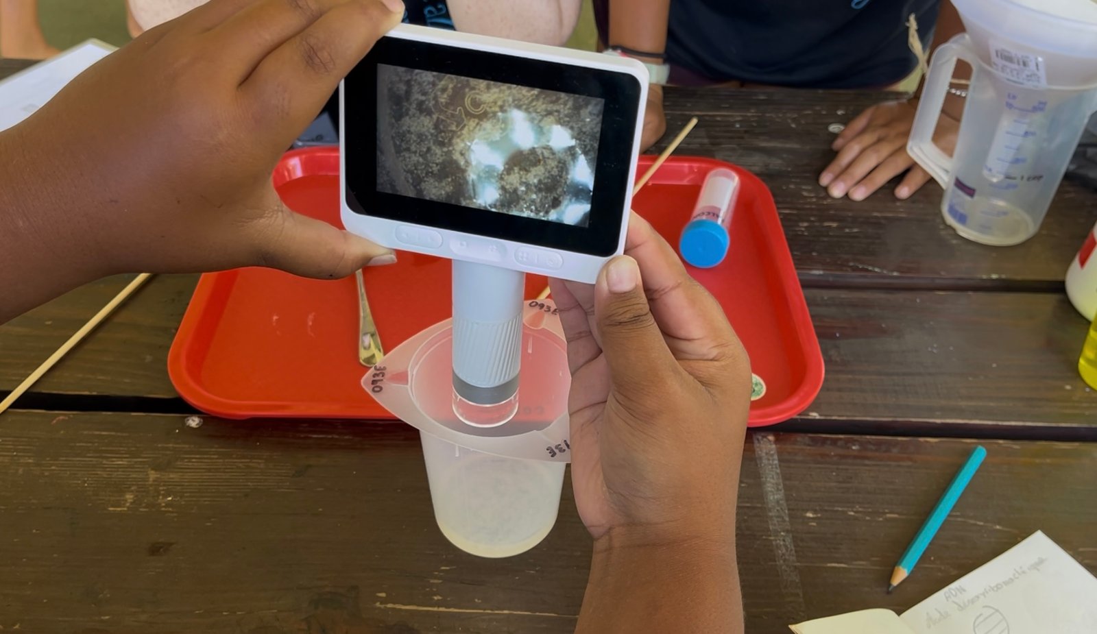 Découverte de l'ADN avec le projet Te ora fenua ADN Au Microscope