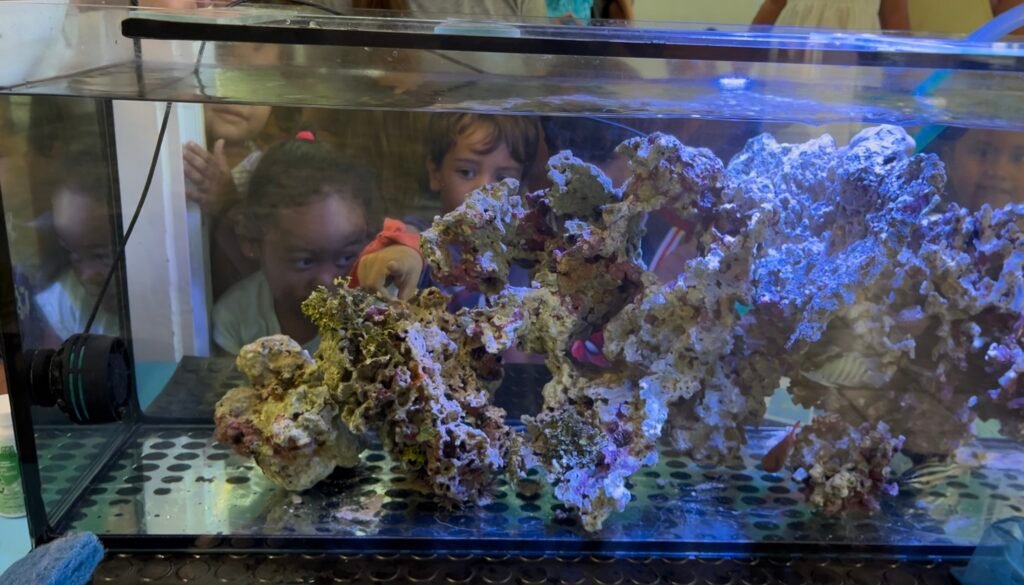 Semaine de la maternelle Aquarium 1024x585