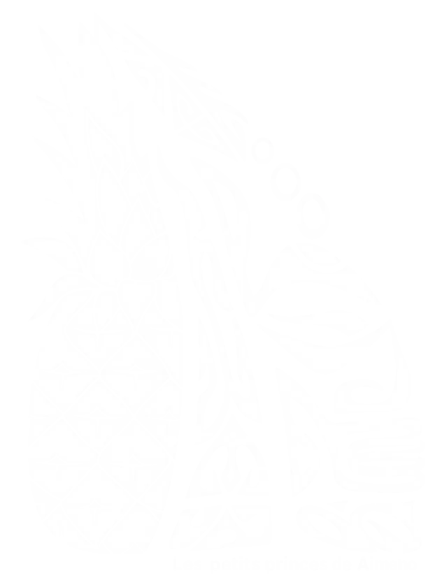 Png Blanc WebP Squoosh