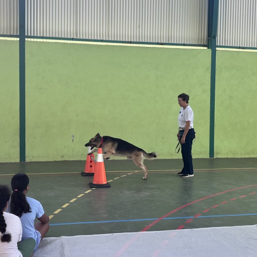 IMG 6402 1024x1024